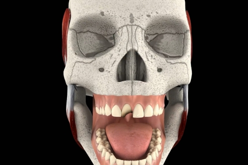 3D牙科补牙动画：3d医学动画设计、医疗动画制作