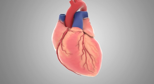 心脏跳动手术医学三维动画制作
